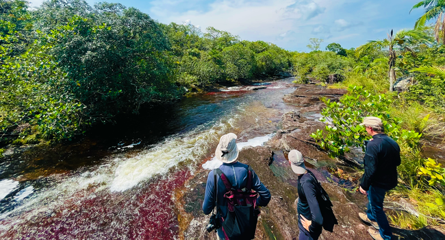 Caño Cristales