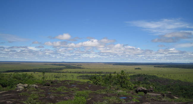 Vichada Tuparro
