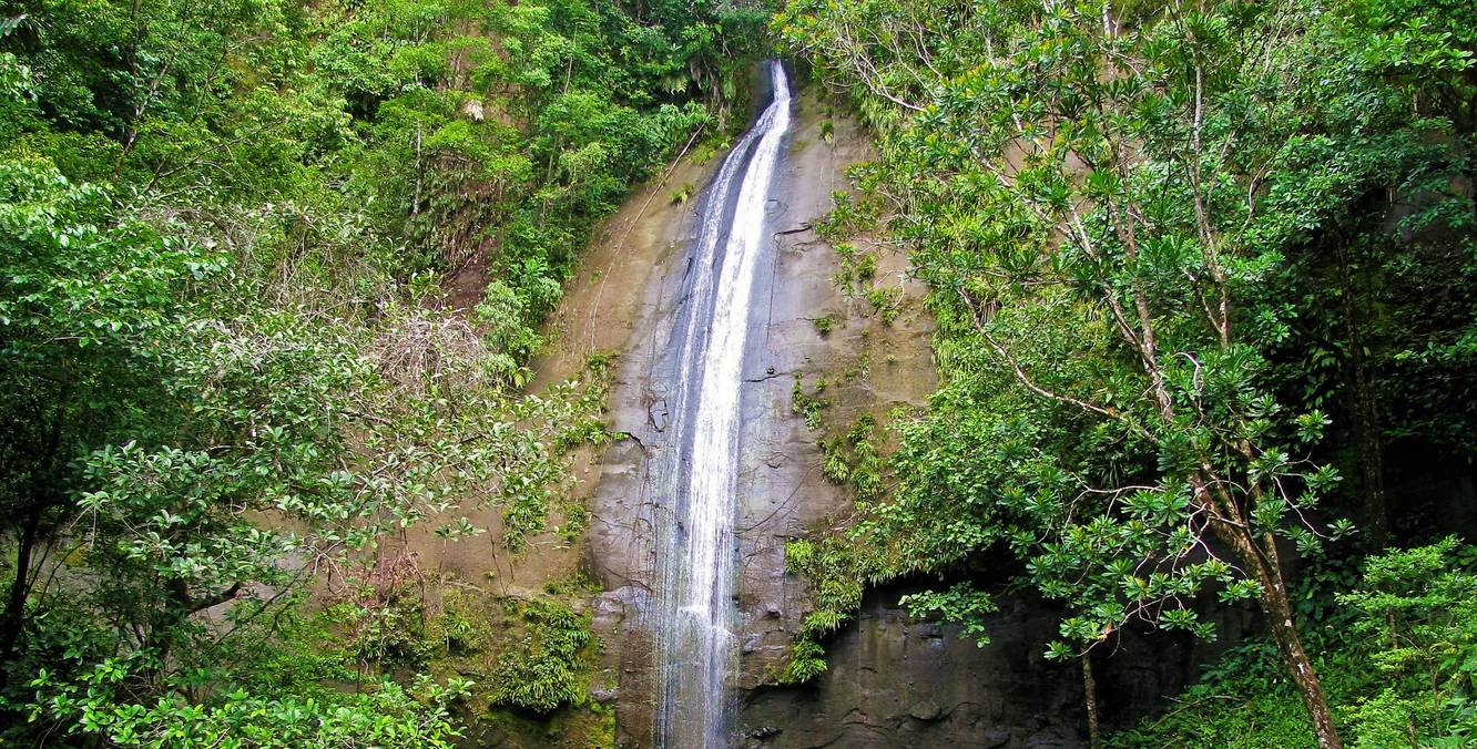 La Sierpe