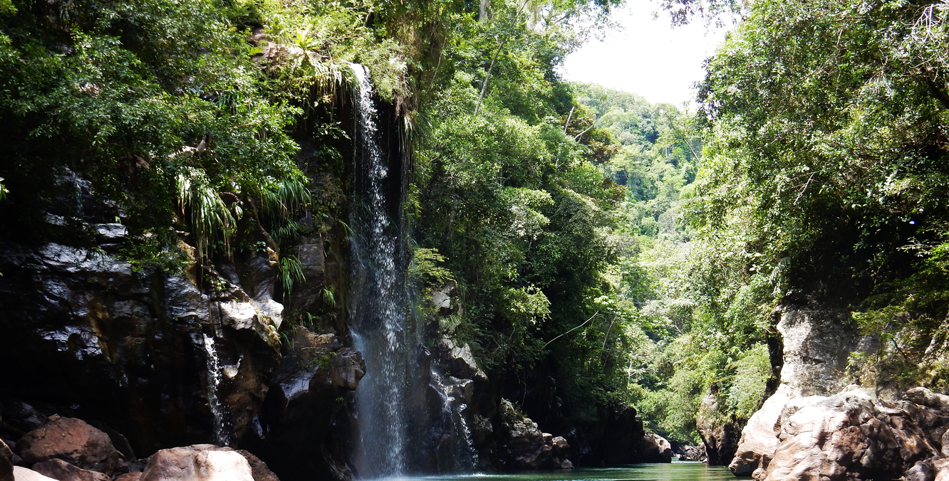La miel del rio