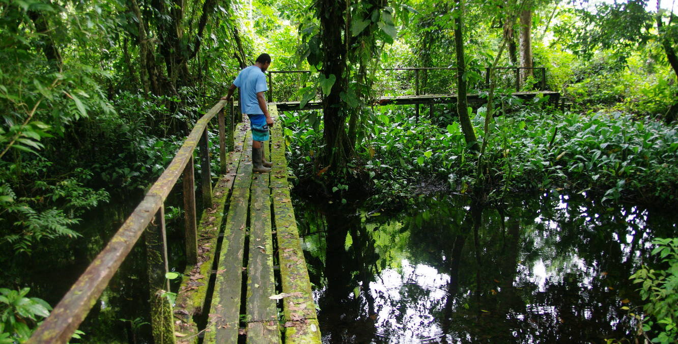 Utria Sendero